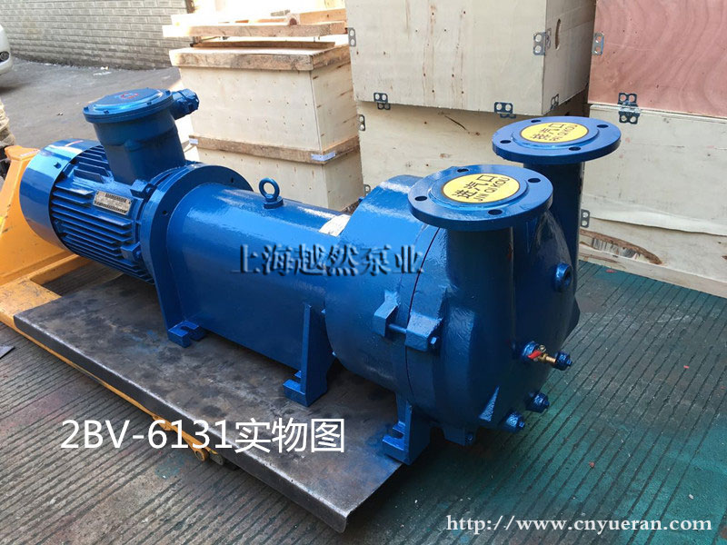 2BV水環(huán)式真空泵