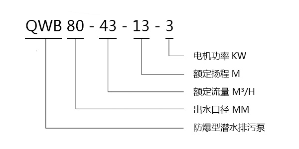 QWB防爆潛水排污泵型號(hào)意義